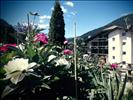 HOTEL Belvedere