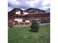 HOTEL Alle Alpi