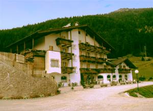 immmersi nel verde... - 